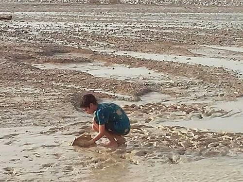 דרכים במדבר